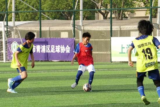 成为我国首席网络娱乐平台。案例展示