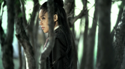 The Assassin: poster