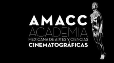 Ariel: los ganadores y la controversia